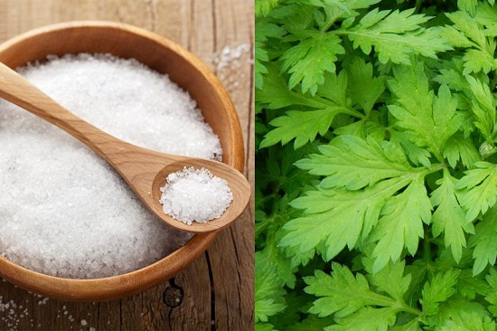 Chữa đau nhức bả vai bằng ngải cứu sao muối